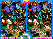 Butterflies Spot The Difference
