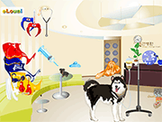 Dog Hospital