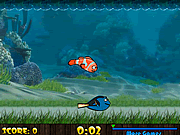 Fish Racing