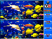 Fish Spot The Difference Game