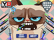 Grumpy Cat Dental Care