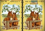Horses Art Book