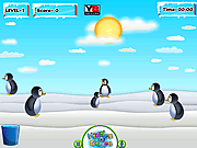 Penguin Turnout
