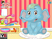 Baby Elephant Salon