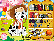 Dog and Cat Dressup
