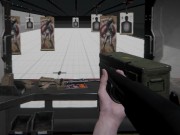 Firearm Simulator