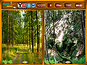 Forest Similarities Game