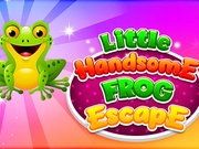 Little Handsome Frog Escape