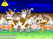 Mad Cows!