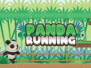 Panda Running