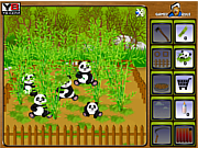 Panda Wild Farm