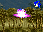 Sonic Vs Mario FIGHT!