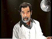 Standup Saddam