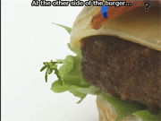 The Great Burger Escape