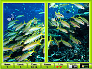 Underwater Similarities