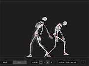 Wireframe Skeleton